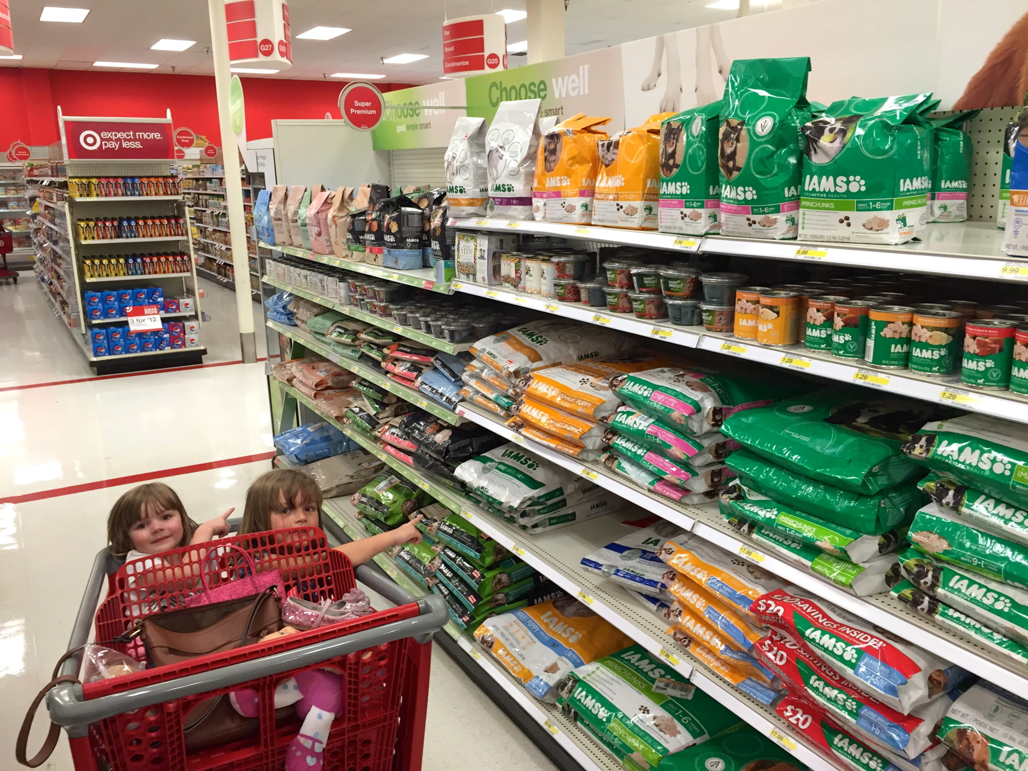 Target iams hotsell cat food