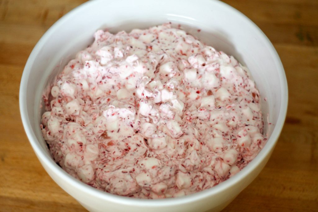 Cranberry Fluff Recipe - Kara in the Kitchen