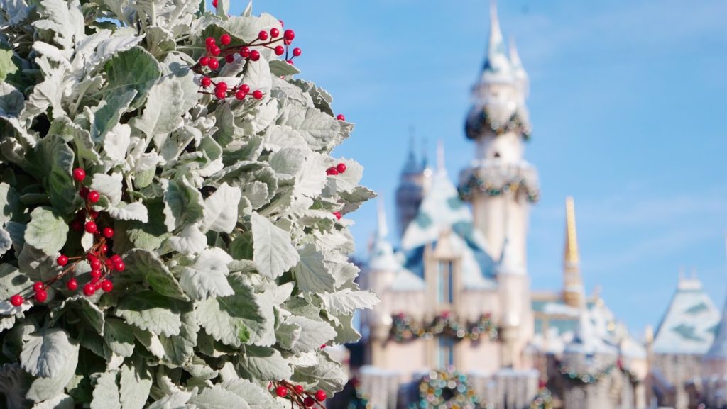 Wreath with Disneyland castle in the background